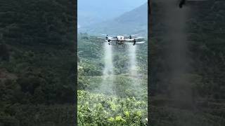 Drones for pesticide spraying in fields [upl. by Nemajneb]