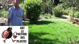 Tuto Jardinage Comment faire un gazon Semis de gazon [upl. by Trenna]