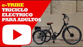 Triciclo Eléctrico para Adultos con Motor 250W  eTrike Fotona Mobility [upl. by Clotilda893]