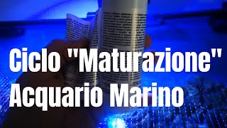 Ciclo di Maturazione Acquario Marino FONDAMENTI 2 [upl. by Eelanej]