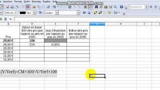 calcul indice évolution et taux [upl. by Schecter498]