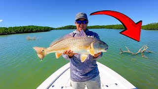 The SECRET to Catching REDFISH in the Florida Keys [upl. by Lang184]