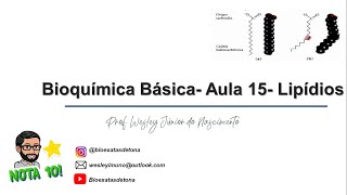 Bioquímica BásicaAula 15 Lipídios [upl. by Olympias]