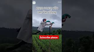 Tak ku dar kar ke ho 😍🌿\ sambalpuri status video  sambalpuri song shortvideo dance [upl. by Bushey]