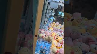 Winning Claw Machine cinnamoroll mini plushie sanrio clawmachine cranegame cuteplush [upl. by Suhsoj]