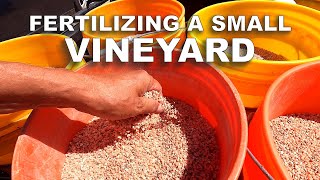 Mixing and Applying Fertilizer in the Small Vineyard [upl. by Giamo]