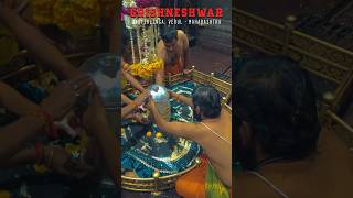 The Miracles 🔥🔱 Grishneshwar Jyotirlinga Revealed trending grishneshwar shorts [upl. by Sheba]