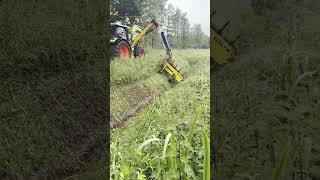 Berky Mowing Raking Combination for Boom Mowers and Mobile Excavators berky claas [upl. by Medeah]