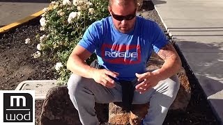 Low back ache test  Feat Kelly Starrett  MobilityWOD [upl. by Adriene]