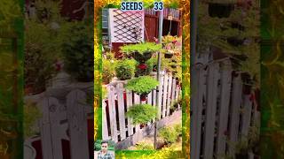 Best home gardening ideas plantsflowers gardening plants flowers flower seedsplants33 [upl. by Beau]