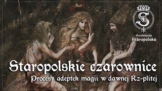 Topić torturować SPALIĆ  o staropolskich procesach CZAROWNIC [upl. by Eelyahs]