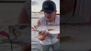 Gator Trout ON THE FLY from a 300 john boat  texas throwback flyfishing [upl. by Nidorf]