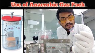 Anaerobic Gas Pack System  Gas Pack System in microbiology  Anaerobic Jar Method  Candle Jar [upl. by Ysirhc897]