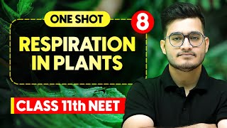 RESPIRATION IN PLANTS  Complete Chapter in One Video  ConceptsPYQs  Class 11th NEET [upl. by Rubetta156]