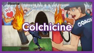 Colchicine Mnemonic for Nursing Pharmacology NCLEX [upl. by Rumery342]