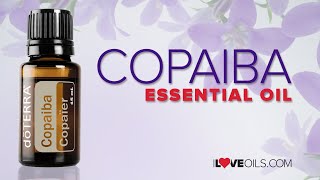 Get to Know Copaiba Essential Oil [upl. by Meeharb]