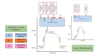 Antiarrhythmic drugs agents  Chapter 3 Classification and Mechanism of Action Made Easy [upl. by Xavier]