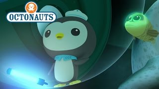 Octonauts Pesos New Friend [upl. by Mathias]