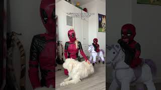 I brushed it out from fur she didnt need  cosplay deadpool [upl. by Bagger]