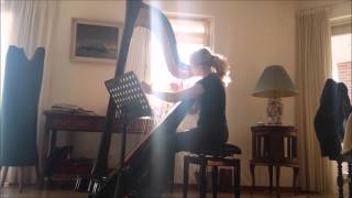 Intouchables soundtrack  Fly by Ludovico Einaudi  Harp [upl. by Fuhrman895]