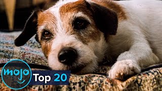 Top 20 Saddest Animal Deaths in Movies [upl. by Ronica]