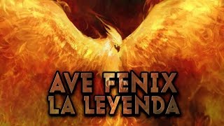 🐦🔥 RESURGIR COMO EL AVE FÉNIX 🔥 🐦 Phoenix [upl. by Neeruan225]