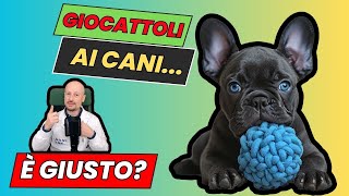 Lasciare giochi e masticativi ai cani è giusto [upl. by Bloxberg]