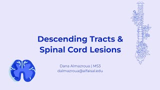 Descending Tracts amp Spinal Cord Lesions  Dana Almazroua  NEU 241 PAL review session [upl. by Annahsed294]