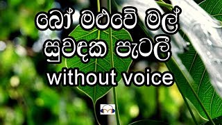 Bo Maluwe Mal Karaoke without voice බෝ මළුවේ මල් [upl. by Sedinoel]