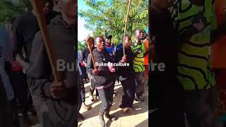 Bukusu culture comedy comedyfilms dance [upl. by Airotahs]