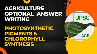 Photosynthetic Pigments and Chlorophyll Synthesis  Agriculture Optional Answer Writing  UPSC [upl. by Ecraep]