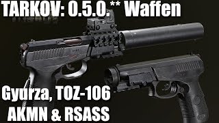 Escape from Tarkov Die neuen Waffen in 050 SR1M Gyurza Toz106 AKMN AKMS amp Remington RSASS [upl. by Nolyat]