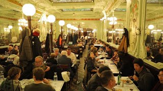 French brasseries Where tradition is on the menu • FRANCE 24 English [upl. by Lizbeth]