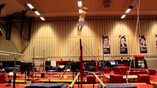 Nouvelle figure incroyable en barre fixe par Epke Zonderland  iSheepfr [upl. by Parrott]