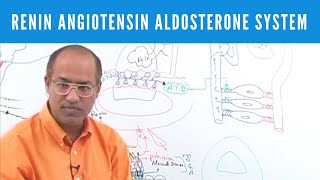 Renin Angiotensin Aldosterone System  RAAS👨‍⚕️ [upl. by Ahcas]