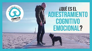 Adiestramiento Canino CognitivoEmocional 🐾 ¿TODAVÍA no lo conoces [upl. by Maxantia270]