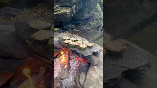 Doğal Taş Üstünde Kabak Halka kebabı  Cooking zucchini ring kebab on natural stone 🥩 [upl. by Auhoj]