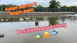 REVIEW 👉🏻TERBARU POSISI KOLONG2 DI KOLAM AFPROW 2 BAGAN PASIR TG KARANG 🏆 korang tengok betul2🦩 [upl. by Erland]