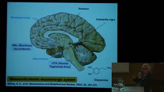 EntheoScience  Dana Beal  Mechanism of nerve growth amp Ibogaine’s Immune Modulatory Effects [upl. by Avlasor]