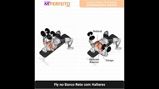 Fly no Banco Reto com Halteres  Músculos Trabalhados [upl. by Lorna]