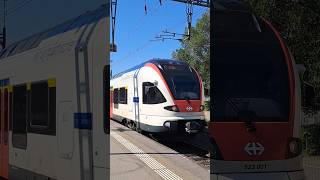 sbb cff ffs sbahn stadlerflirt stadler flirt trainspotting railway schweiz shorts yt [upl. by Annail]