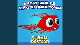 Kırmızı Balık ile Renkleri Öğreniyorum [upl. by Eittod]