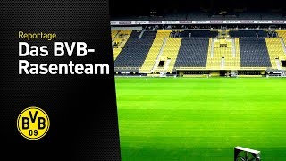 Wie entsteht der beste Rasen Deutschlands  Pitch of the Year  Signal Iduna Park [upl. by Kall269]