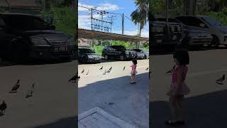 WHAT HAPPENED WITH THE BIRD  birds kids healing vlog vlogs [upl. by Kubiak]