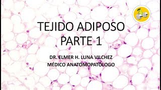 TEJIDO ADIPOSO  PARTE 1  Dr Elmer Luna Vilchez [upl. by Docila877]