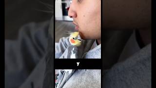 LA HISTORIA DEL PÁJARO 🐦 [upl. by Turoff]