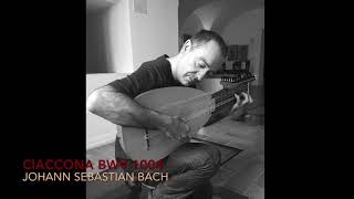 Ciaccona 2nd Partita for the violin BWV 1004 by J S Bach Xavier DíazLatorre Lute [upl. by Nomrej]