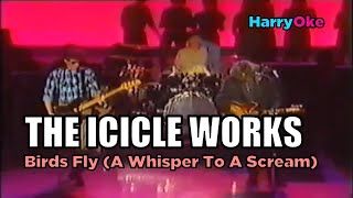 The Icicle Works  Birds Fly Whisper To A Scream Karaoke with Lyrics [upl. by Crean]