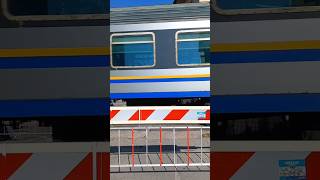 Level crossing and Pilotina carrozze mdvc ferroviedellostato trenitalia [upl. by Dugaid]