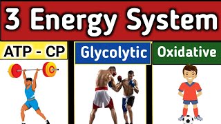 Human energy systems ATPCP Glycolytic energy system Oxidative energy system Human energy sys [upl. by Quartana]